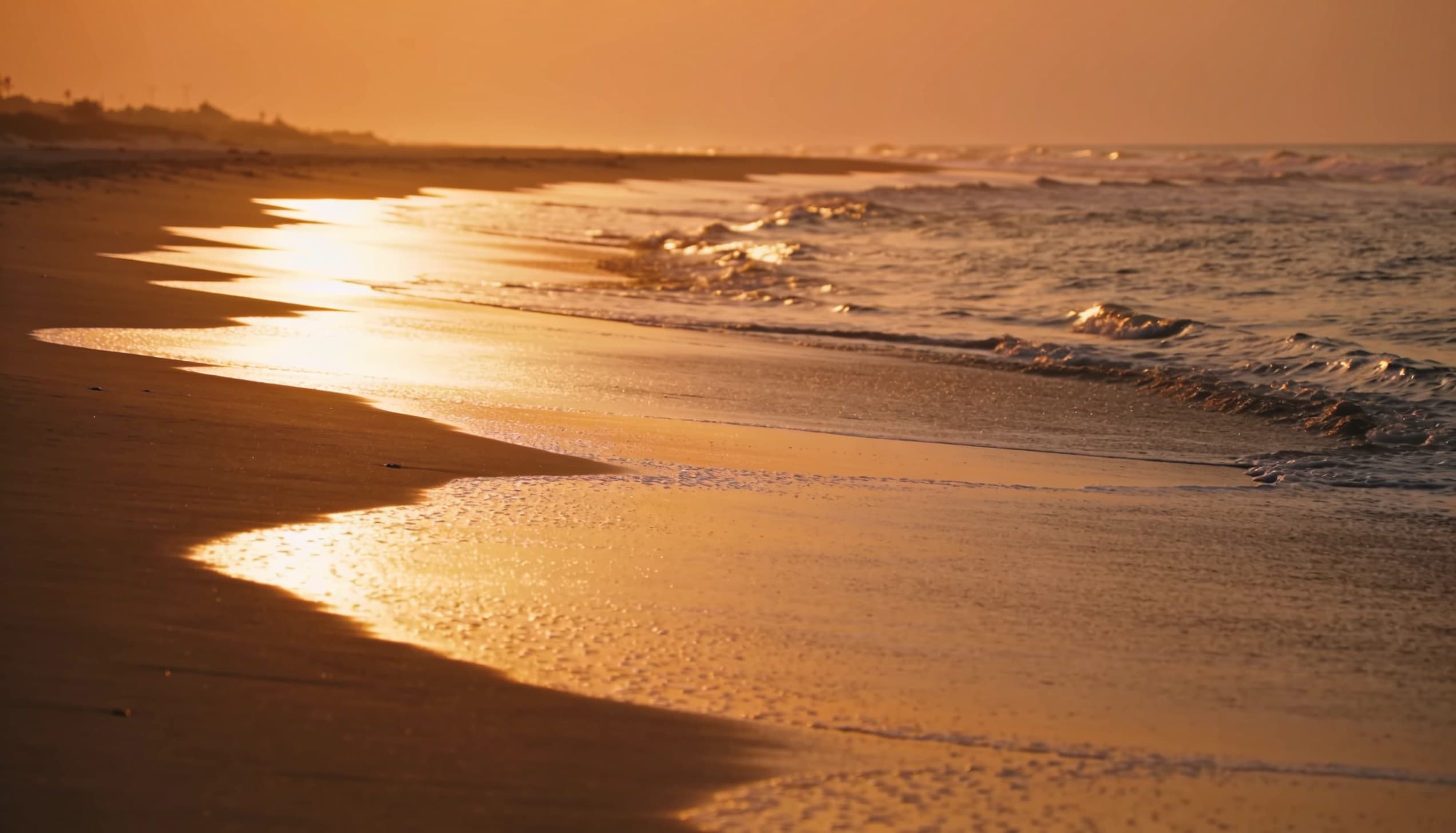 Cox's Bazar Travel Guide: Best Time, Things to Do & Where to Stay